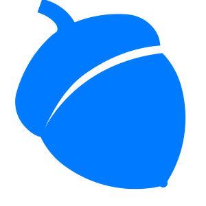 Team Page: Blue Acorn iCi